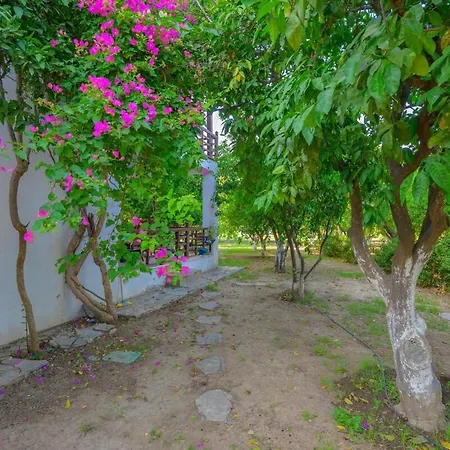 Villa Saklibahce - *