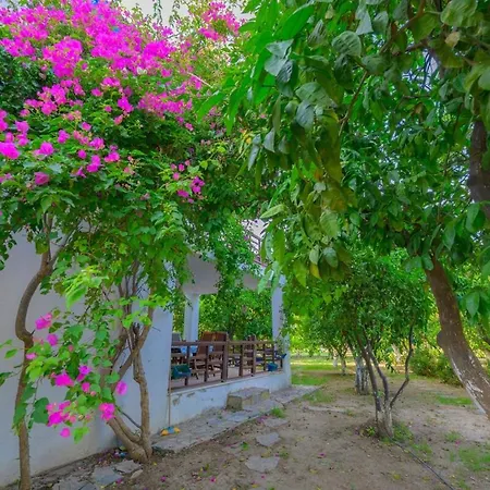 Saklibahce - Villa *