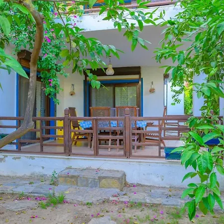 Villa Saklibahce - *